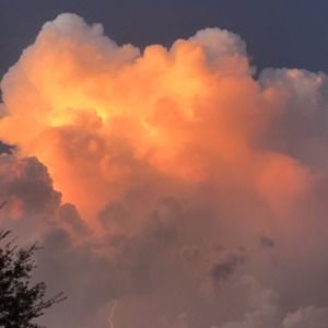 Meet your Posher, De'ja